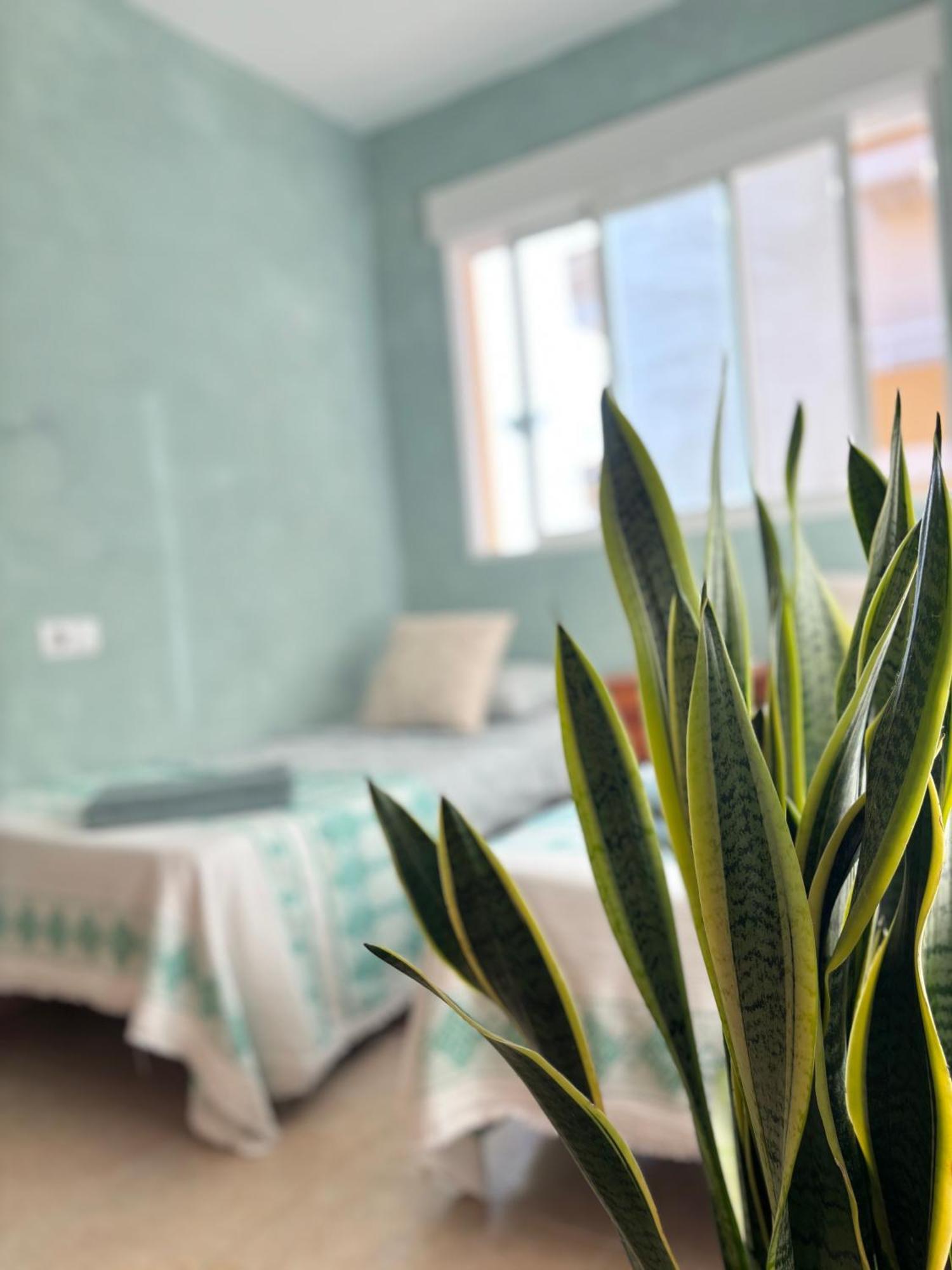 Playa De Miramar - 3 Min Walk To The Beach, Family-Friendly, Near Gandia Екстериор снимка